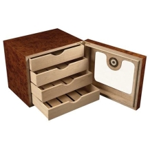 Burl humidor