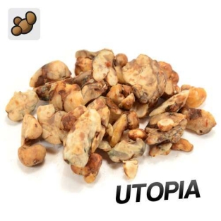 Psilocybe Utopia - Magische Trüffel