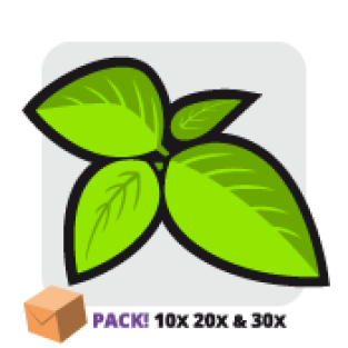 Salvia 1 Pauschalangebot