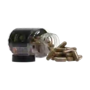 Chaga extract capsules - 120 caps