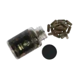 Chaga extract capsules - 120 caps