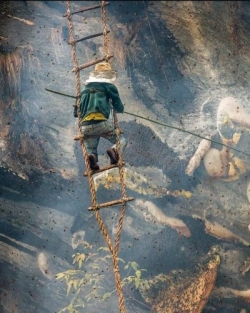 Real Mad Honey Nepal - 50 g