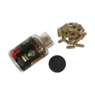 Reishi extract capsules - 120 caps