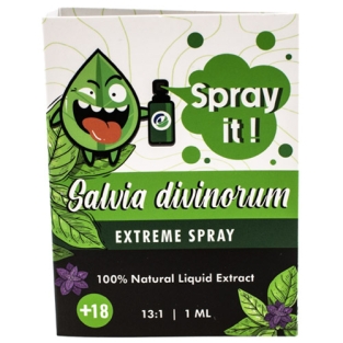 Salvia divinorum Sprüh es! - Extrem-Spray
